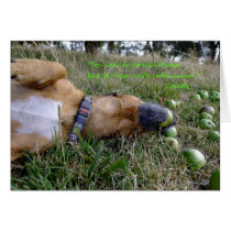 Foolish things greeting card