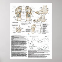 Foot Reflexology and Acupuncture Point Poster