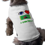 FOOTBALL FAN - I LOVE FOOTBALL & A BIG FIELD 2 RUN pet clothing