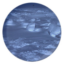Footprints at the South Pole Dinner Plates