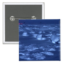Footprints at the South Pole Pinback Buttons