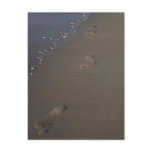 Footprints in the Sand Beach Postcard