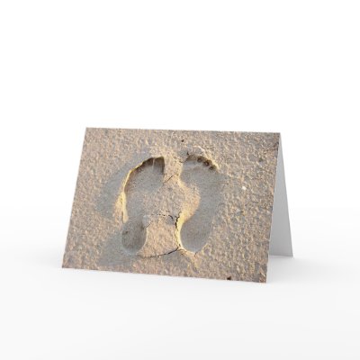 Footprints in the sand greeting cards by rayblockley