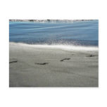 Footprints In The Sand Postcards