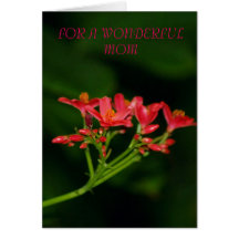 FOR A WONDERFUL MOM GREETING CARDS