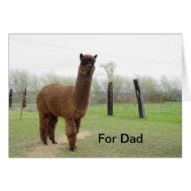 For Dad cards