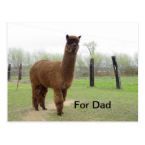 For Dad postcards