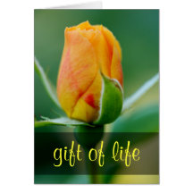 For God so loved the world John 3:16 Card