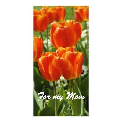 For my Mom Card Photo Greeting Card by PhotosVac