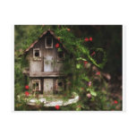 For The Birds Post Cards
