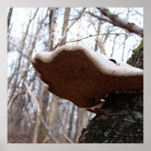 For the love of mushrooms... print