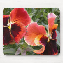 For the Love of Pansies Mousepads