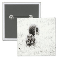 Foraging Squirrel (IR) buttons