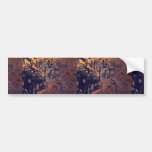 Force Bumper Stickers