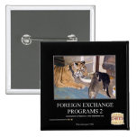 Foreign Exchange Programs 2 Pins