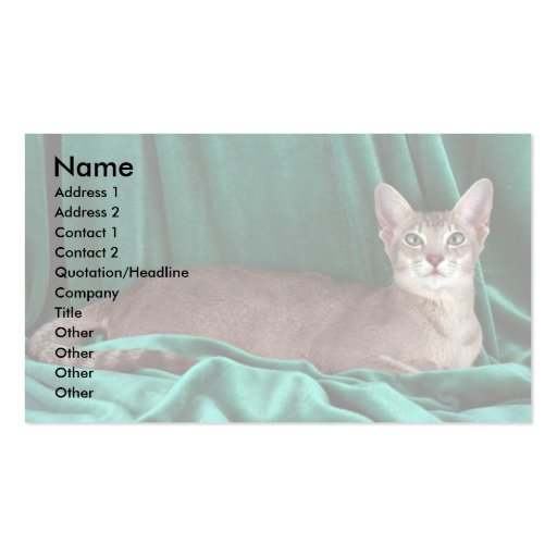 Foreign Oriental, blue ticked tabby Business Card Template