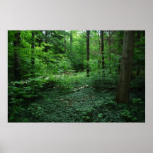 Forest3 Posters