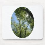 Forest 1 mouse pads