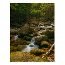 Forest Cascade Postcards