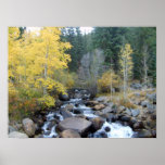 Forest Creek in Autumn Print