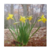 Forest Daffodils In The Spring Ceramic Tiles
