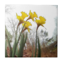 Forest Daffodils Tile