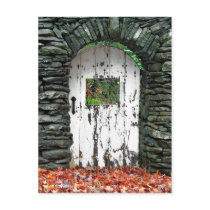 Forest Door Postcard