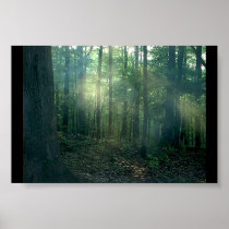 Forest Drama Posters