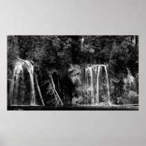 Forest Falls Poster