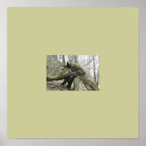 "Forest Fare" Poster