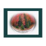 Forest Fire - Terra Photography Logo Postcards