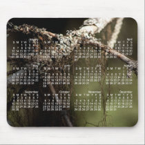 Forest Fuzz; 2013 Calendar mousepads