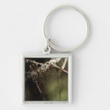 Forest Fuzz; No Text Keychains