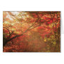 Forest in Kyoto Greeting Cards