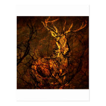 FOREST KING.jpg Post Cards
