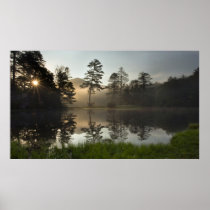 Forest Lake Sunrise Poster