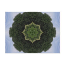 Forest Mandala Post Card