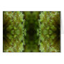Forest Mist Greeting Card