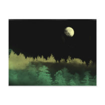 Forest Nights Post Cards