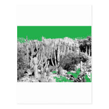 Forest of Cacti Post Card
