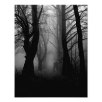 Forest of Fog