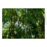 Forest of Palm Trees Card