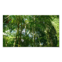 Forest of Palm Trees Photo Print
