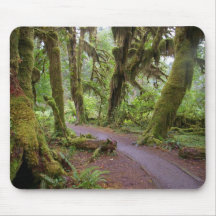 Forest Olympic National Park Mouse Mat
