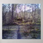 Forest Path in the Forest Print