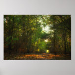 Forest Pathway poster print