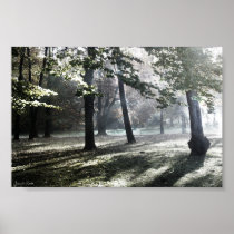 Forest Print