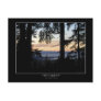 Forest scenery Postcards