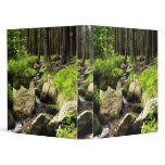 forest stream binder