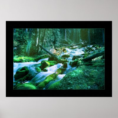 Forest Stream Poster by UponInfinity